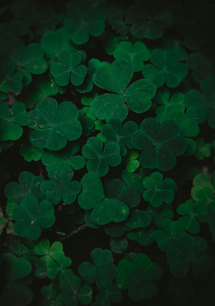 The Unique Three-Leaf Clover of Autism